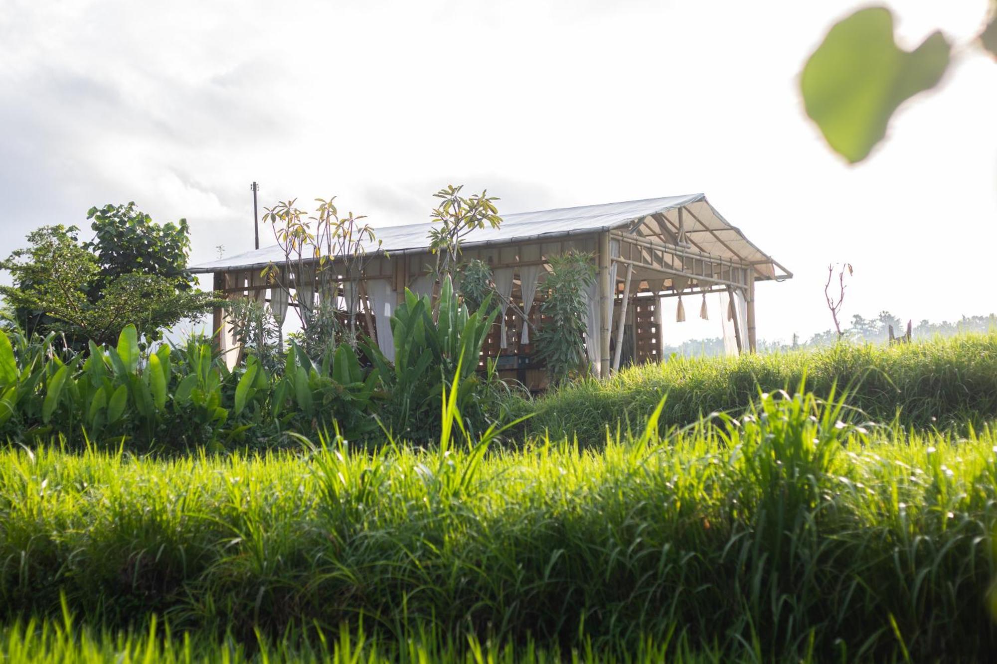 Camani Glamping Hotel Karangasem  Bagian luar foto
